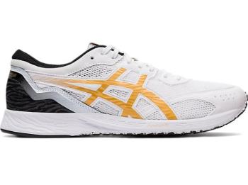 Asics TARTHEREDGE Herre Løpesko NO756BV